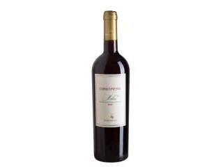 CARACONESSA DOC MELISSA ROSSO